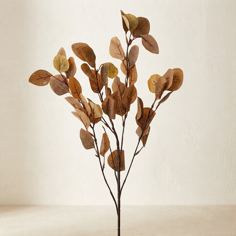 Vara de Eucalipto Marrón